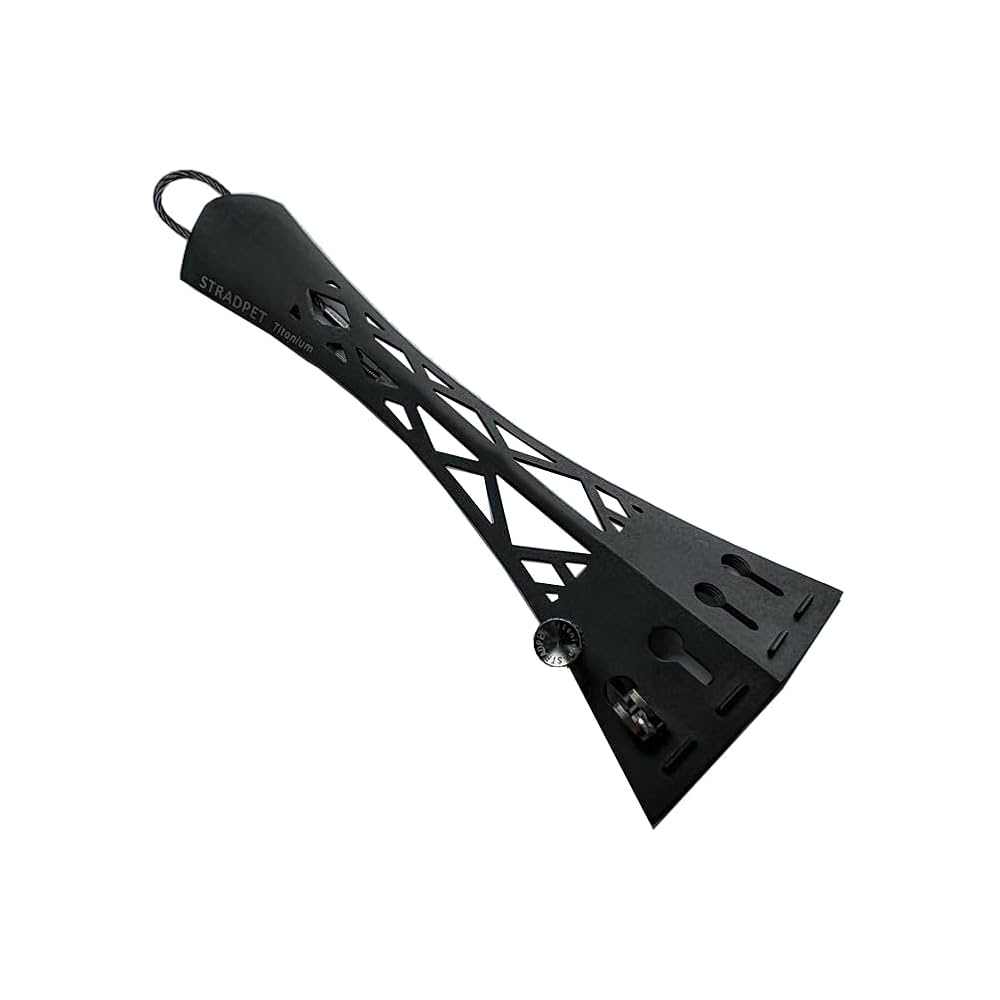 Amazon | [STRADPET] Titanium British Style Tailpiece for